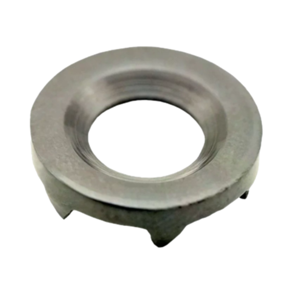 MULTI SPIKED WASHER FOR LIGAMENT