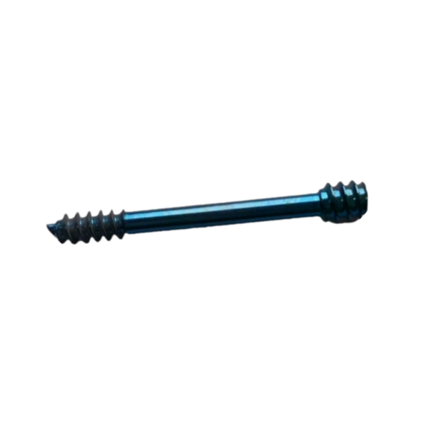 HERBERT SCREW