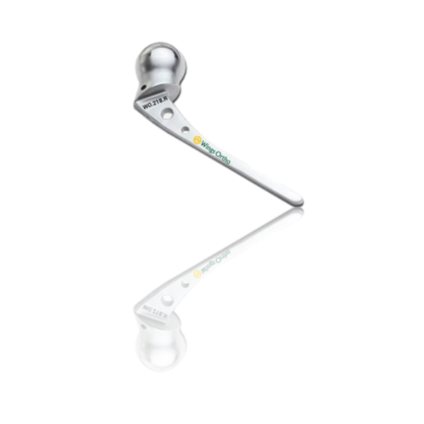 AUSTIN MOORE PROSTHESIS (ROUND HOLE) (NON-STERILE)