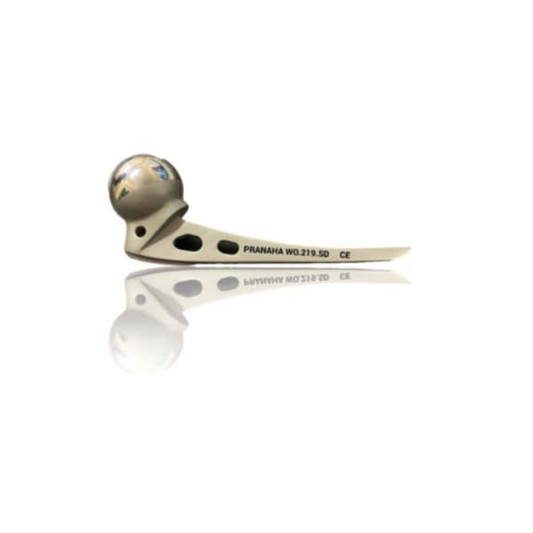 AUTTIN MOORE PROSTHESIS (D.C.HOLE)