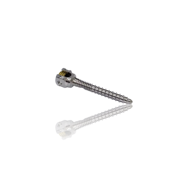 POLYAXIAL DUAL THREAD SCREW 5.5/6.5mm